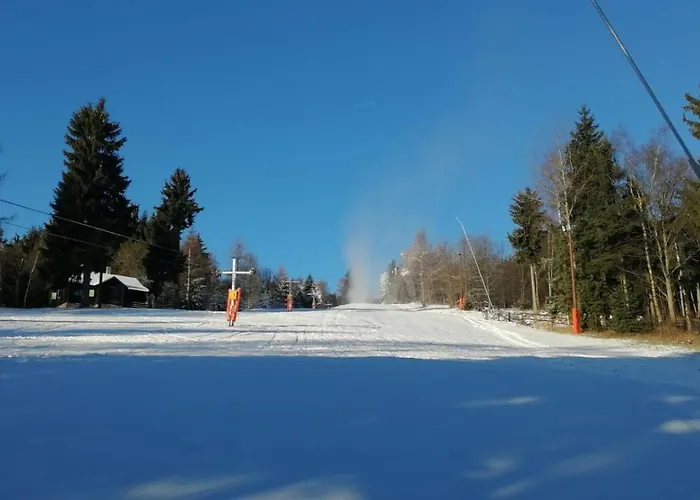 U Cejhonu Chalet Medenec